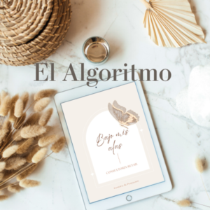 El Algoritmo de Instagram